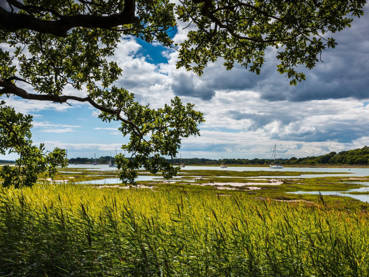 Beaulieu,River,Estuary,In,Hampshire,Uk