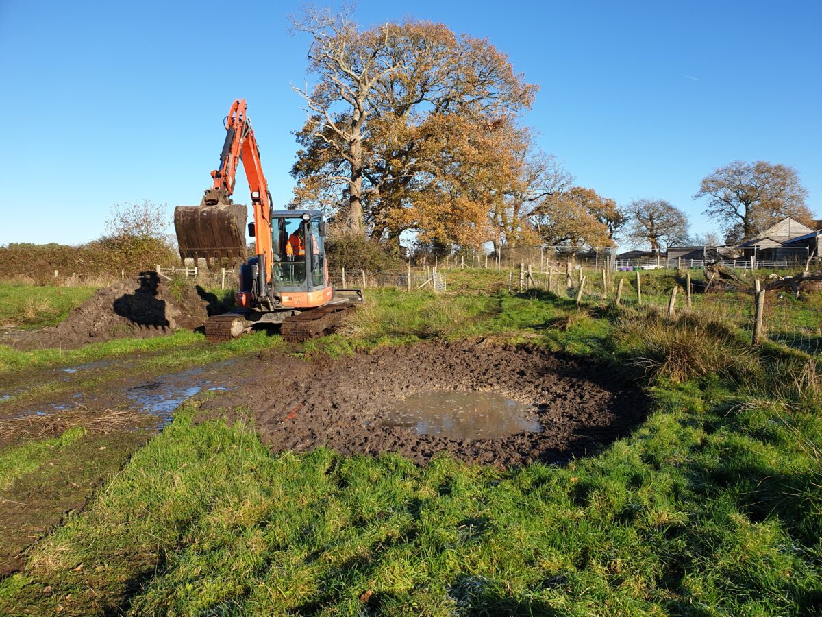 Blue Horizons photo pond creation