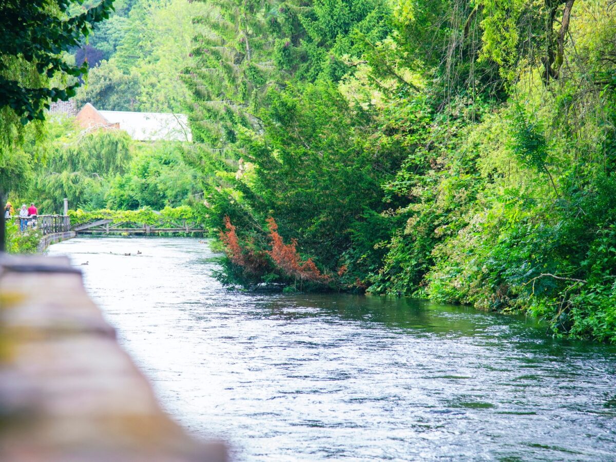 River Itchen
