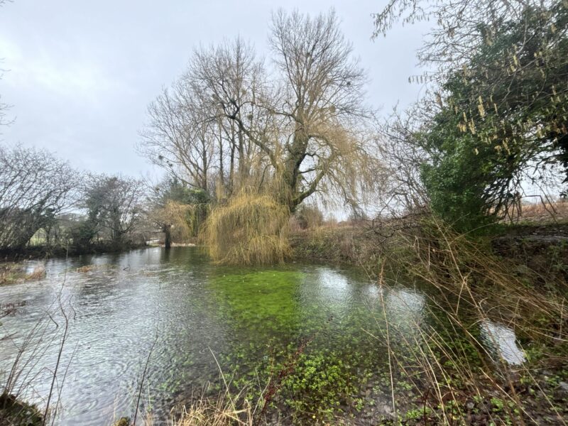 HintonAmpner pond