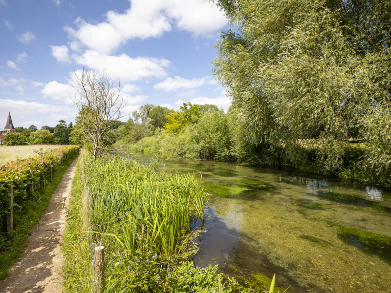 PIC BY STEWART TURKINGTON www.stphotos.co.uk